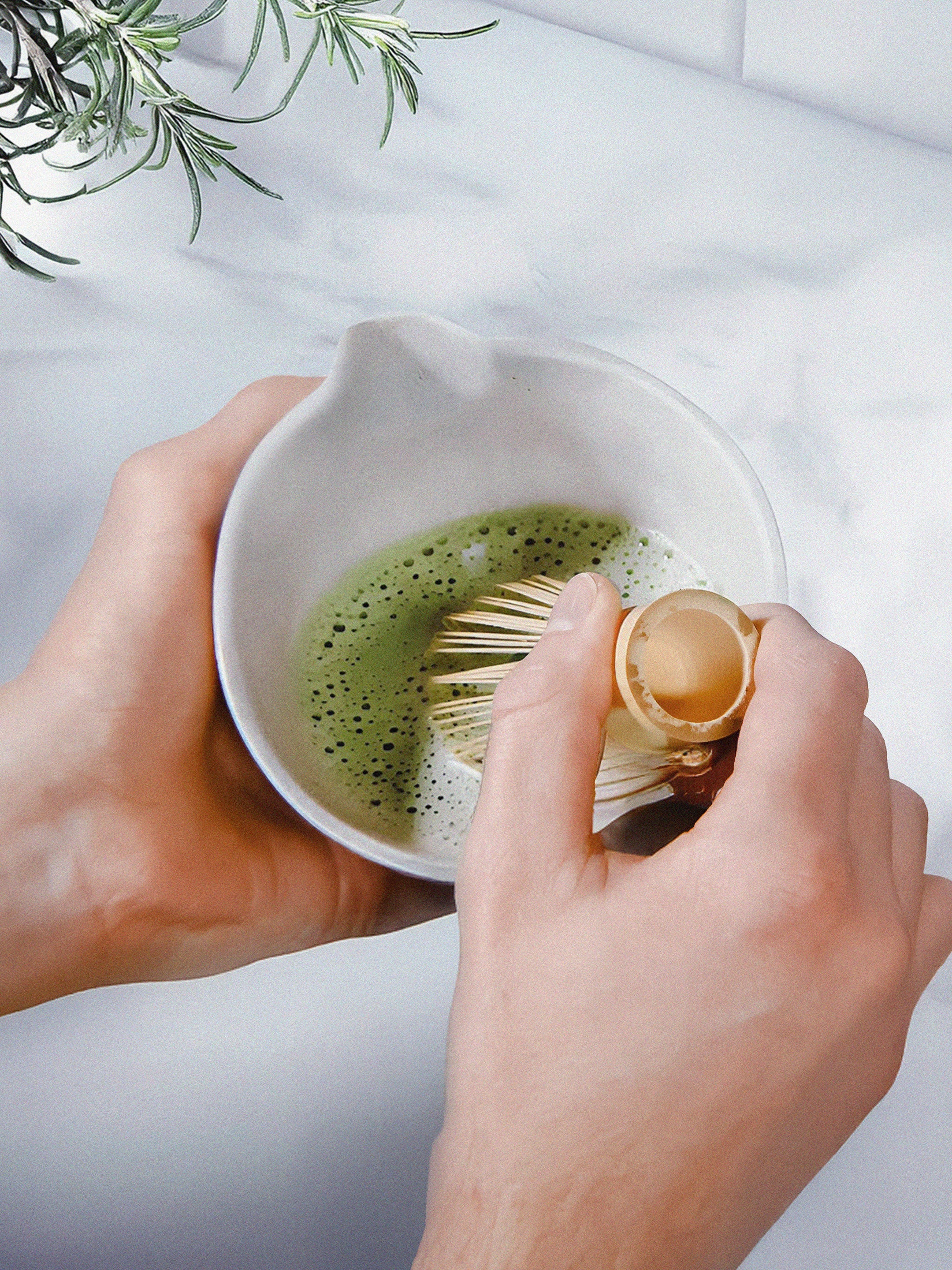 HL_General_Matcha_013.jpg
